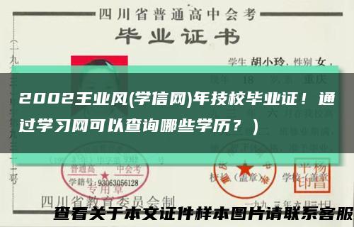 2002王业风(学信网)年技校毕业证！通过学习网可以查询哪些学历？）缩略图