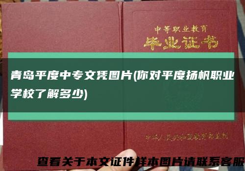 青岛平度中专文凭图片(你对平度扬帆职业学校了解多少)缩略图