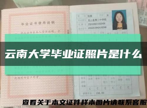 云南大学毕业证照片是什么缩略图