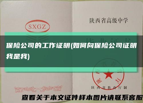 保险公司的工作证明(如何向保险公司证明我是我)缩略图