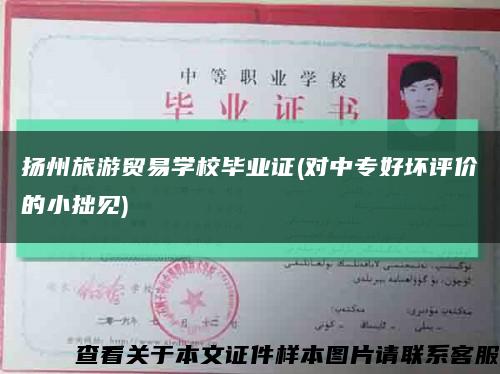扬州旅游贸易学校毕业证(对中专好坏评价的小拙见)缩略图