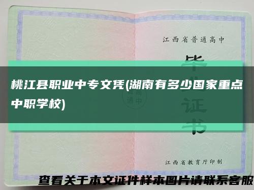 桃江县职业中专文凭(湖南有多少国家重点中职学校)缩略图