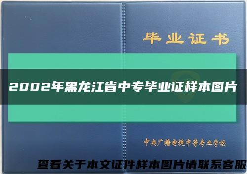 2002年黑龙江省中专毕业证样本图片缩略图