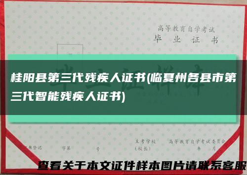 桂阳县第三代残疾人证书(临夏州各县市第三代智能残疾人证书)缩略图