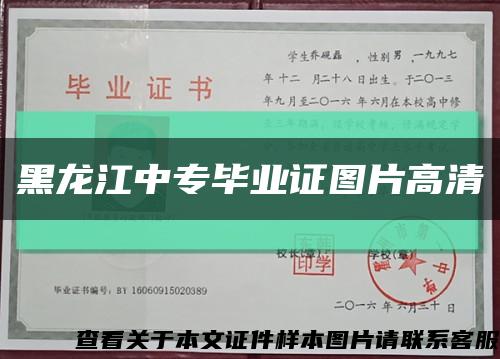 黑龙江中专毕业证图片高清缩略图