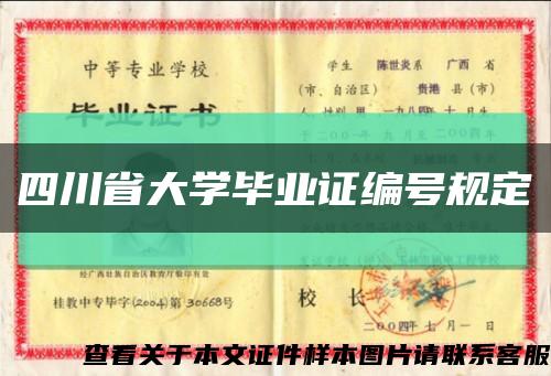 四川省大学毕业证编号规定缩略图