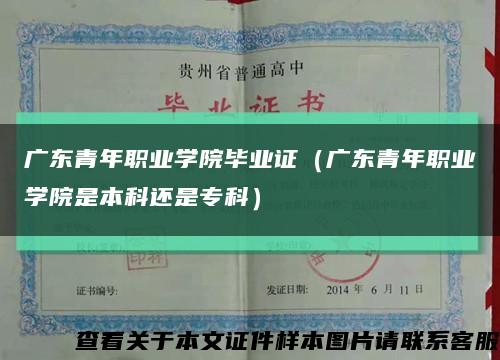 广东青年职业学院毕业证（广东青年职业学院是本科还是专科）缩略图