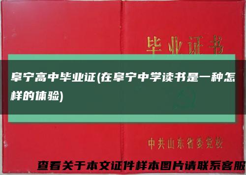 阜宁高中毕业证(在阜宁中学读书是一种怎样的体验)缩略图