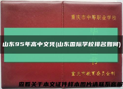 山东95年高中文凭(山东国际学校排名如何)缩略图