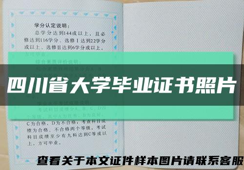四川省大学毕业证书照片缩略图
