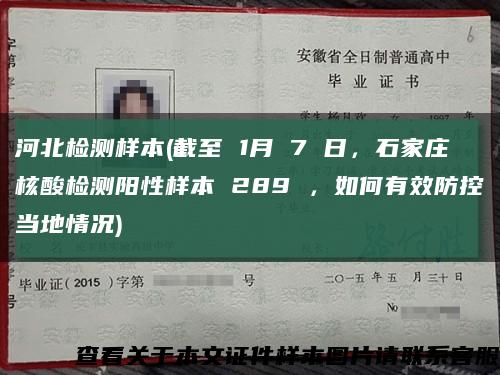 河北检测样本(截至 1月 7 日，石家庄核酸检测阳性样本 289 ，如何有效防控当地情况)缩略图