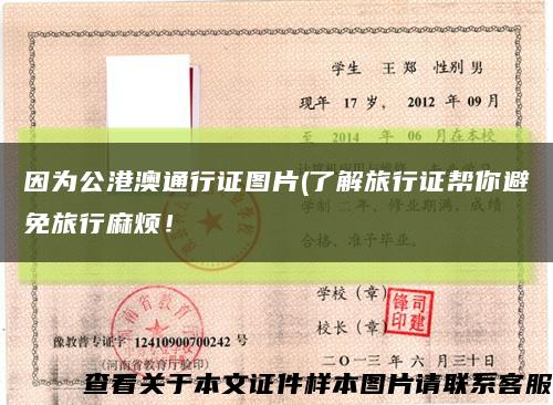 因为公港澳通行证图片(了解旅行证帮你避免旅行麻烦！缩略图