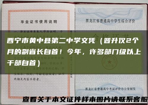 西宁市黄中县第二中学文凭（晋升仅2个月的副省长自首！今年，许多部门级以上干部自首）缩略图