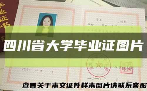 四川省大学毕业证图片缩略图
