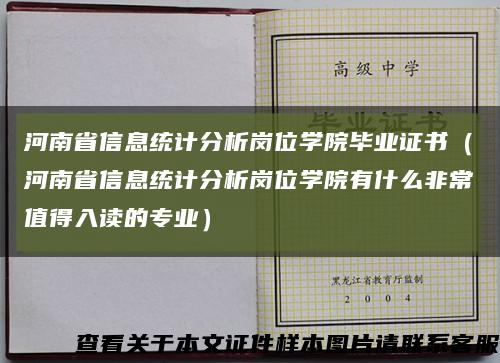 河南省信息统计分析岗位学院毕业证书（河南省信息统计分析岗位学院有什么非常值得入读的专业）缩略图
