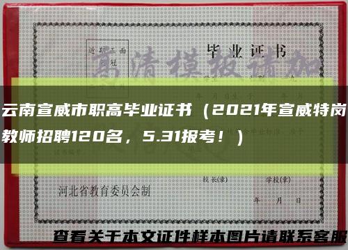 云南宣威市职高毕业证书（2021年宣威特岗教师招聘120名，5.31报考！）缩略图