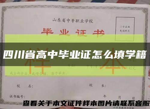 四川省高中毕业证怎么填学籍缩略图
