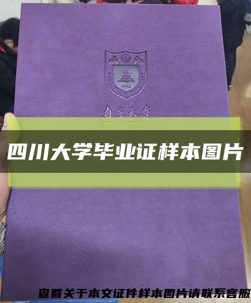 四川大学毕业证样本图片缩略图