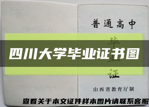 四川大学毕业证书图缩略图