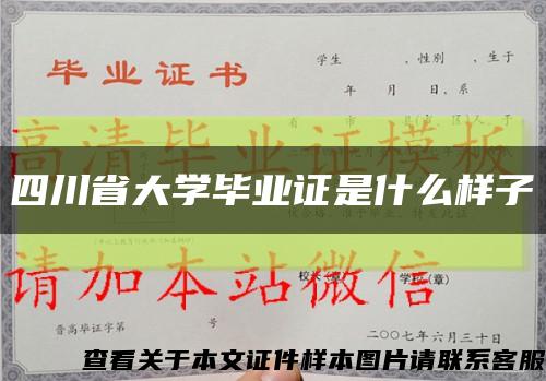 四川省大学毕业证是什么样子缩略图