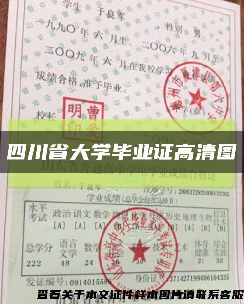 四川省大学毕业证高清图缩略图