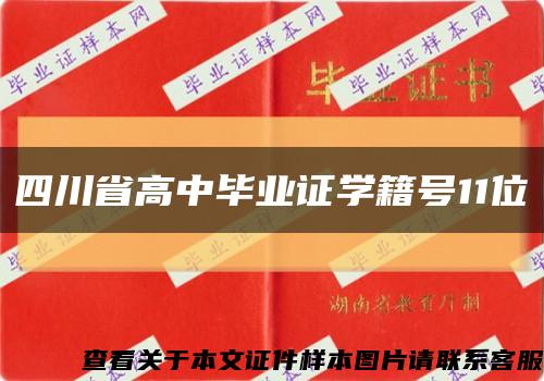 四川省高中毕业证学籍号11位缩略图