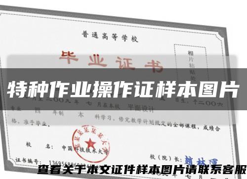 特种作业操作证样本图片缩略图