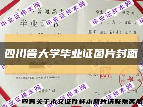 四川省大学毕业证图片封面缩略图