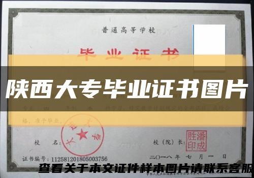 陕西大专毕业证书图片缩略图