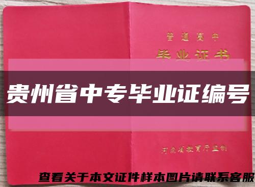 贵州省中专毕业证编号缩略图