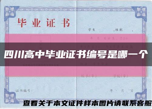 四川高中毕业证书编号是哪一个缩略图