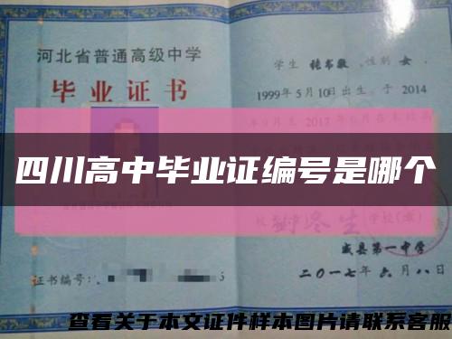 四川高中毕业证编号是哪个缩略图