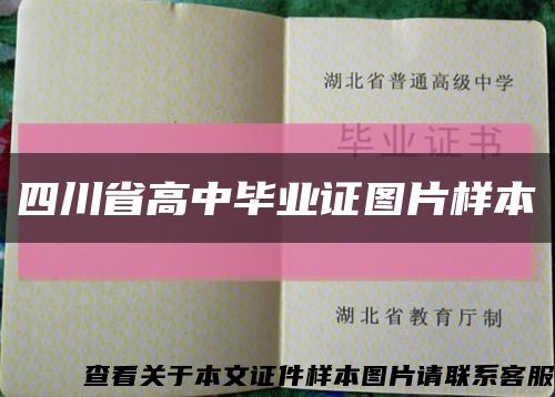 四川省高中毕业证图片样本缩略图