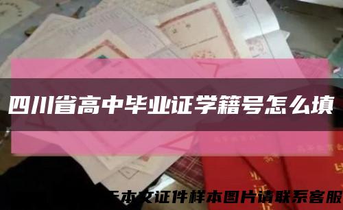 四川省高中毕业证学籍号怎么填缩略图