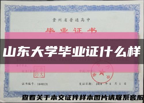 山东大学毕业证什么样缩略图
