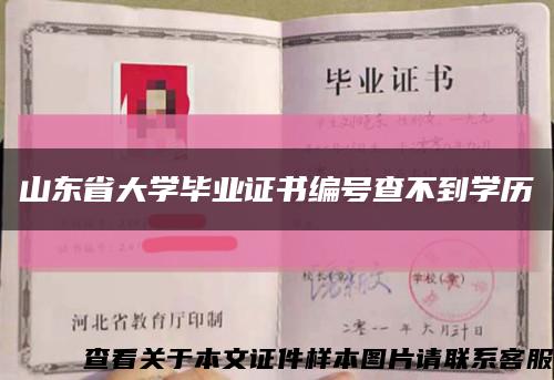 山东省大学毕业证书编号查不到学历缩略图