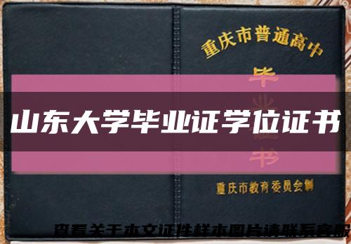山东大学毕业证学位证书缩略图