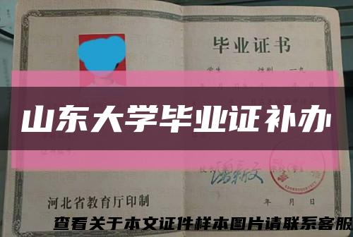山东大学毕业证补办缩略图