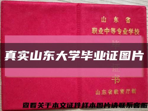 真实山东大学毕业证图片缩略图