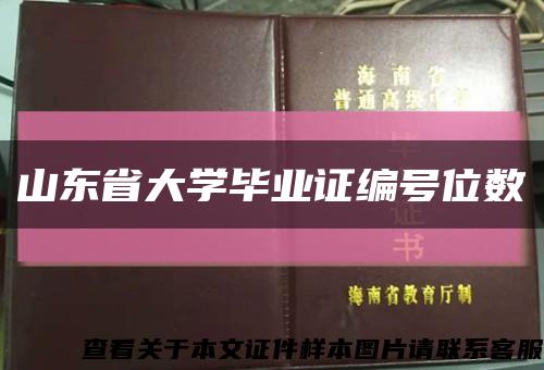 山东省大学毕业证编号位数缩略图