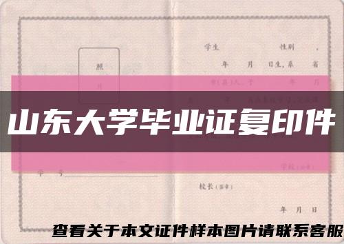 山东大学毕业证复印件缩略图