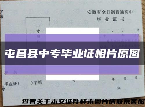 屯昌县中专毕业证相片原图缩略图