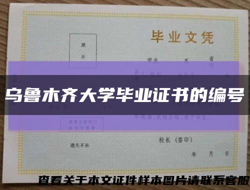 乌鲁木齐大学毕业证书的编号缩略图