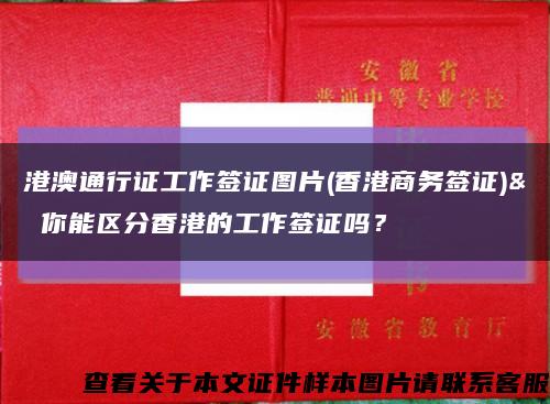 港澳通行证工作签证图片(香港商务签证)& 你能区分香港的工作签证吗？缩略图