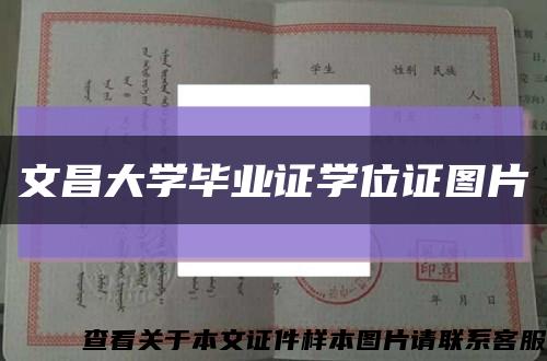文昌大学毕业证学位证图片缩略图
