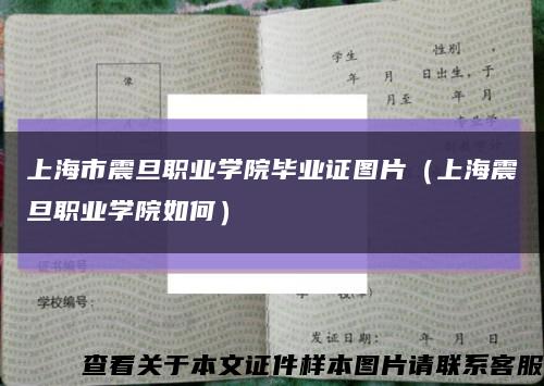上海市震旦职业学院毕业证图片（上海震旦职业学院如何）缩略图
