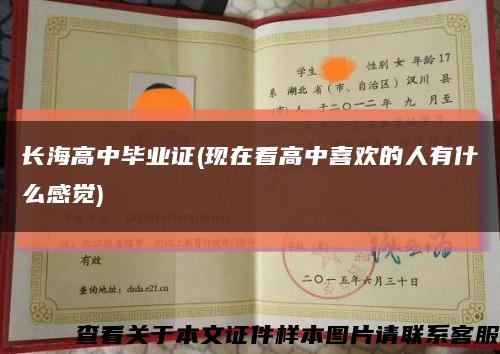 长海高中毕业证(现在看高中喜欢的人有什么感觉)缩略图