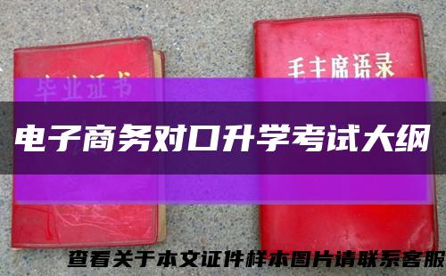 电子商务对口升学考试大纲缩略图