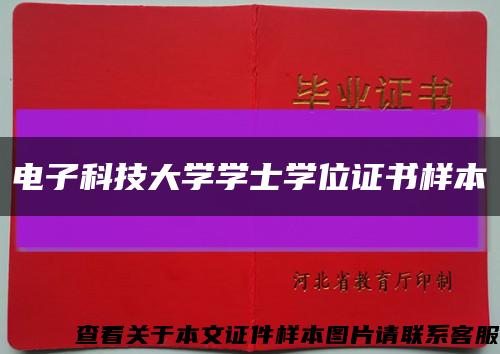 电子科技大学学士学位证书样本缩略图