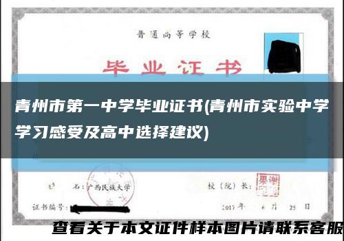 青州市第一中学毕业证书(青州市实验中学学习感受及高中选择建议)缩略图